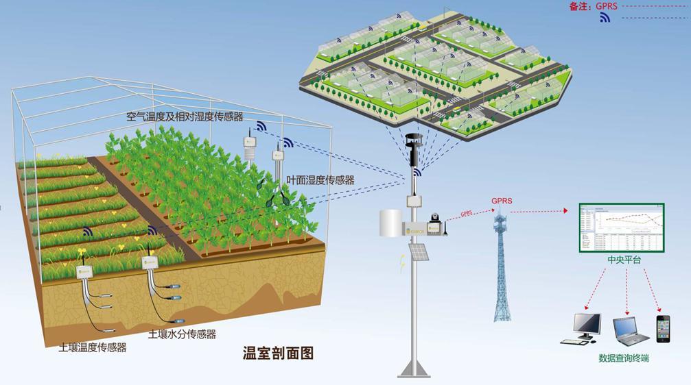 自动化技术在智能温室控制中的应用_智能温室的运行风险