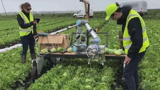 工业自动化在智能农业环境监测中的应用_工业自动化在智能农业环境监测中的应用论文